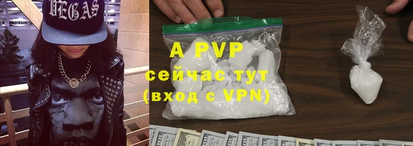 твердый Бородино