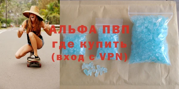 твердый Бородино