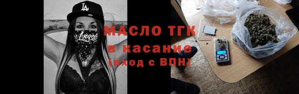 твердый Бородино