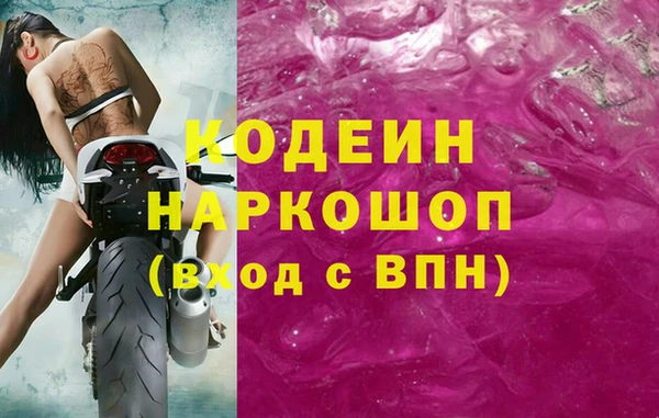 индика Бугульма