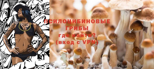 соль ск Богородицк