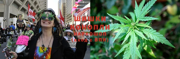 трава Бронницы