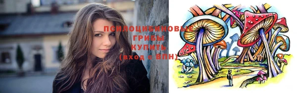 твердый Бородино