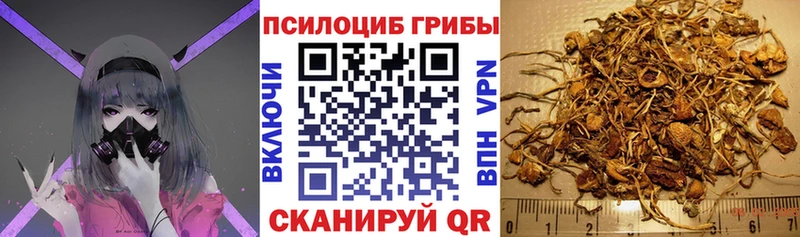 Псилоцибиновые грибы мухоморы Ейск