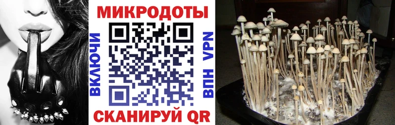 Галлюциногенные грибы Cubensis продажа наркотиков Ейск